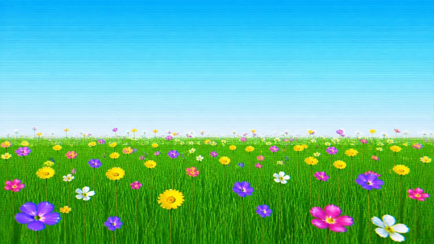 flower meadow